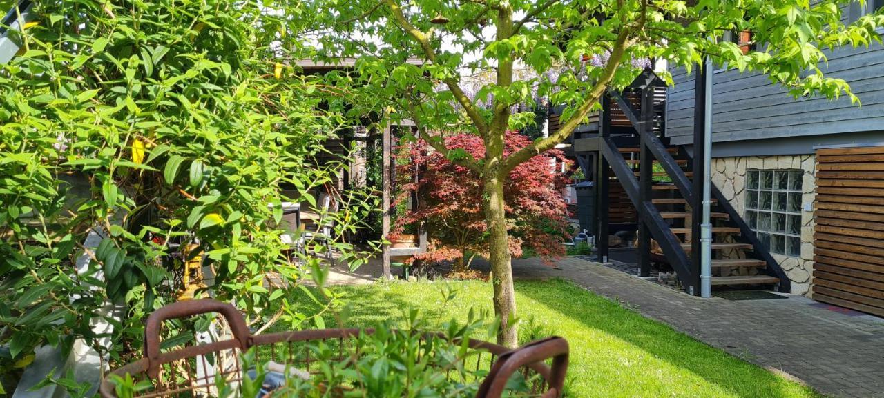Apartment Rose Фрицлар Экстерьер фото